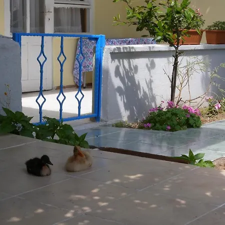 Eysan Guest house *